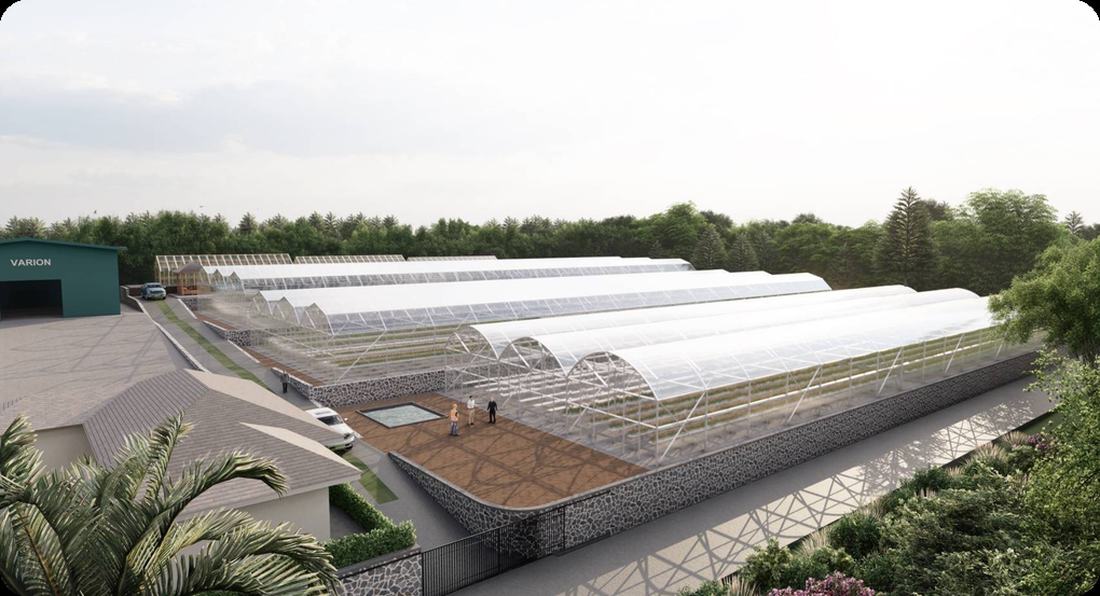 Greenhouses at the Pangalengan farm