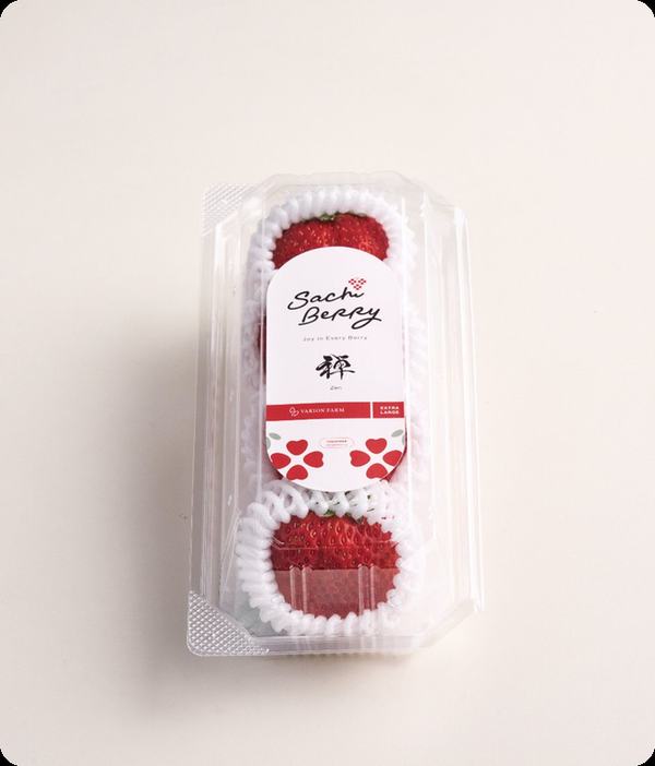 Two Sachi Berry strawberries in a foam-net gift pack